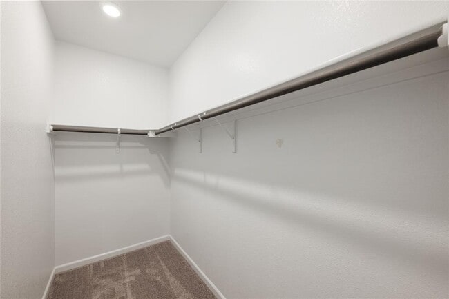 Building Photo - 13608 Cibolo Trace