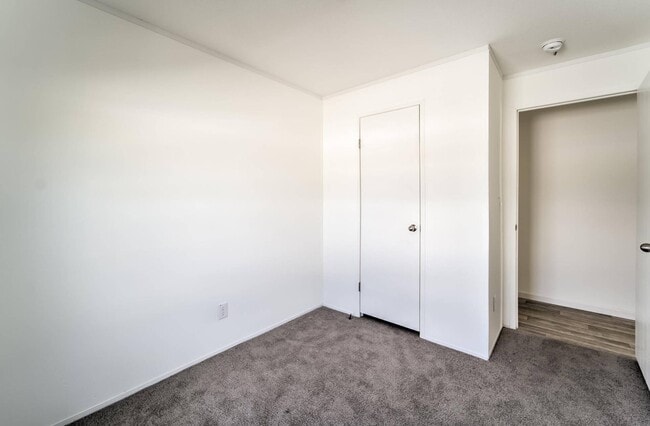 Building Photo - 1013 Tangelo St