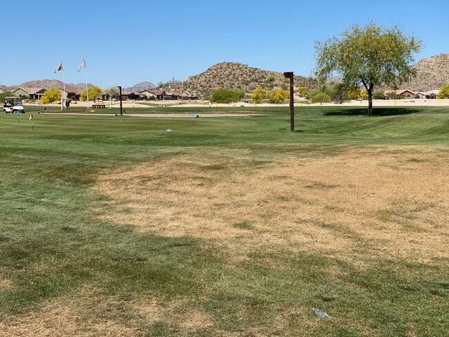 Building Photo - Close to community amenities!