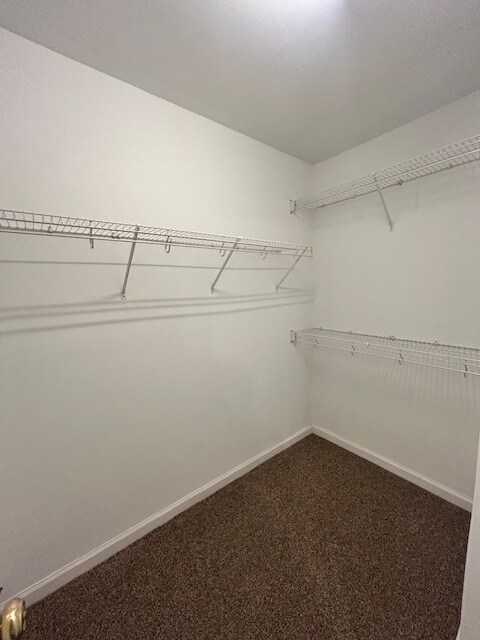Building Photo - 2113 Thornblade Dr