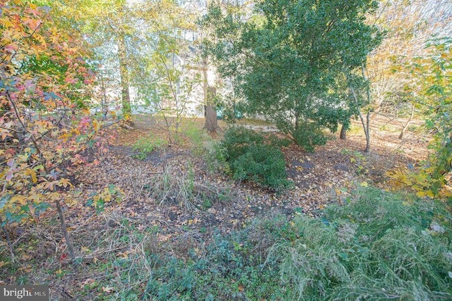 Building Photo - 38478 Ocean Blvd