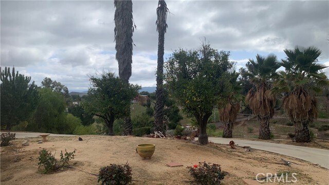 Primary Photo - 35800 Calle Nopal
