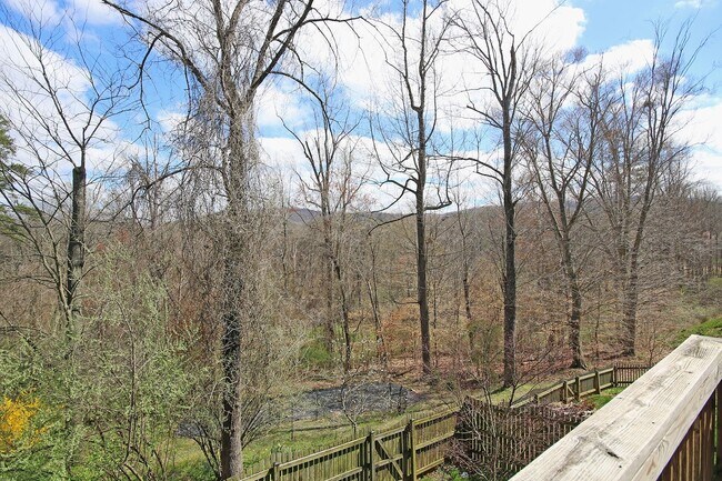 Building Photo - Dog-Friendly Brookwood Home Near UVA & Downtown