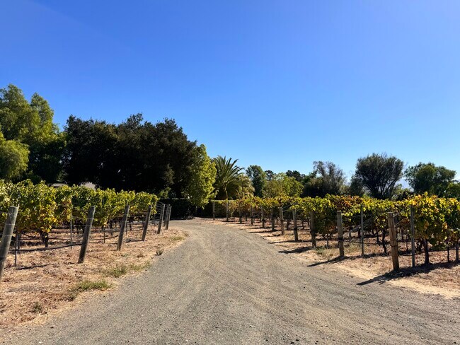 Building Photo - 3730 Roblar Ave