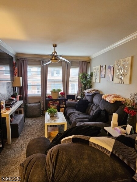 Building Photo - 100 Luttgen Pl