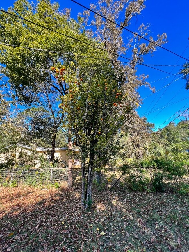 Building Photo - Pet Friendly 3BR/2BA NW Gainesville Home - Available mid-July!