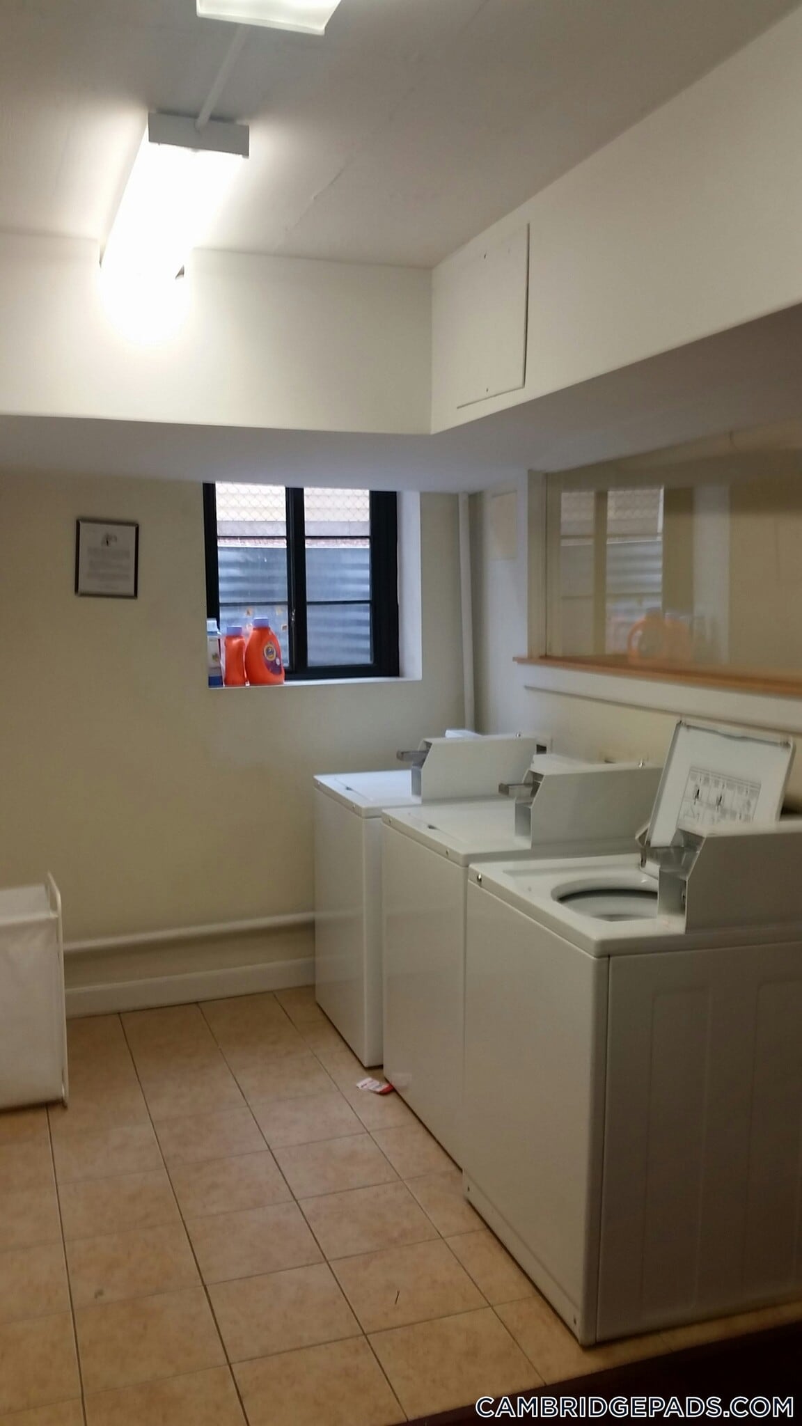 Building Photo - 60 Brattle St