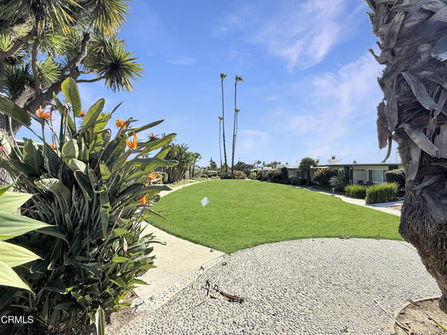 Building Photo - 61 Redwood Ave