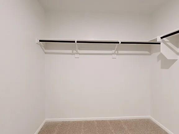 Building Photo - 3316 Coronation Ct