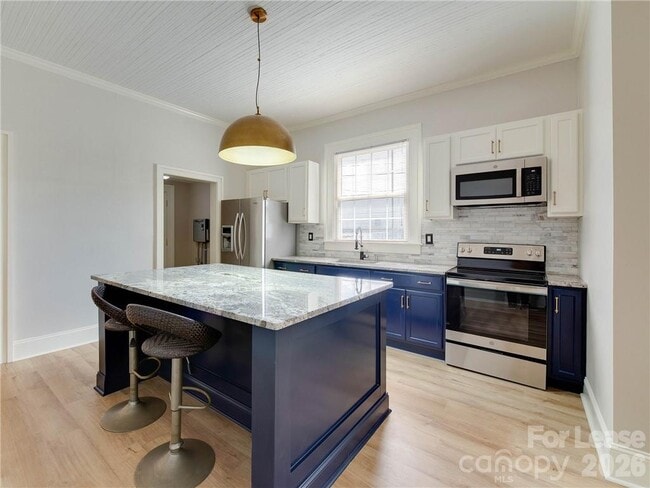 Building Photo - 1100 Pegram St