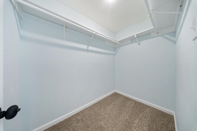 Building Photo - 1426 Twining Oaks Ln