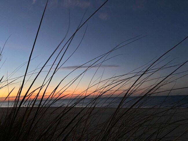 Building Photo - 204 Washington Park Blvd