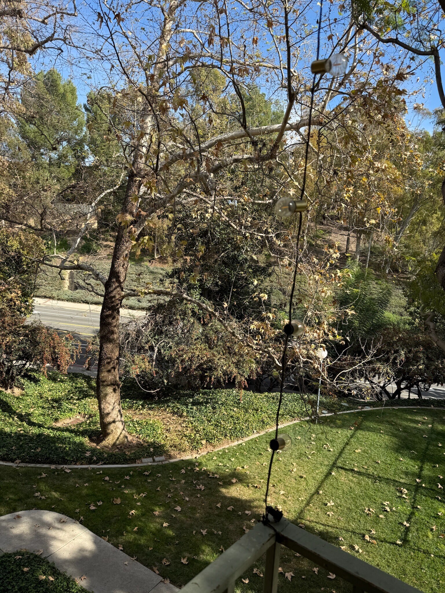 Building Photo - 4141 Via Marisol