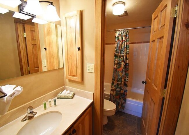 Building Photo - Winter Seasonal Rental- Lake Dillon Condos 108