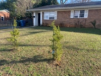 Building Photo - 1829 4th St