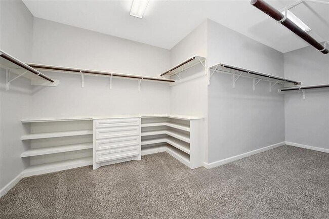 Building Photo - 27225 Alexandra Springs Ln