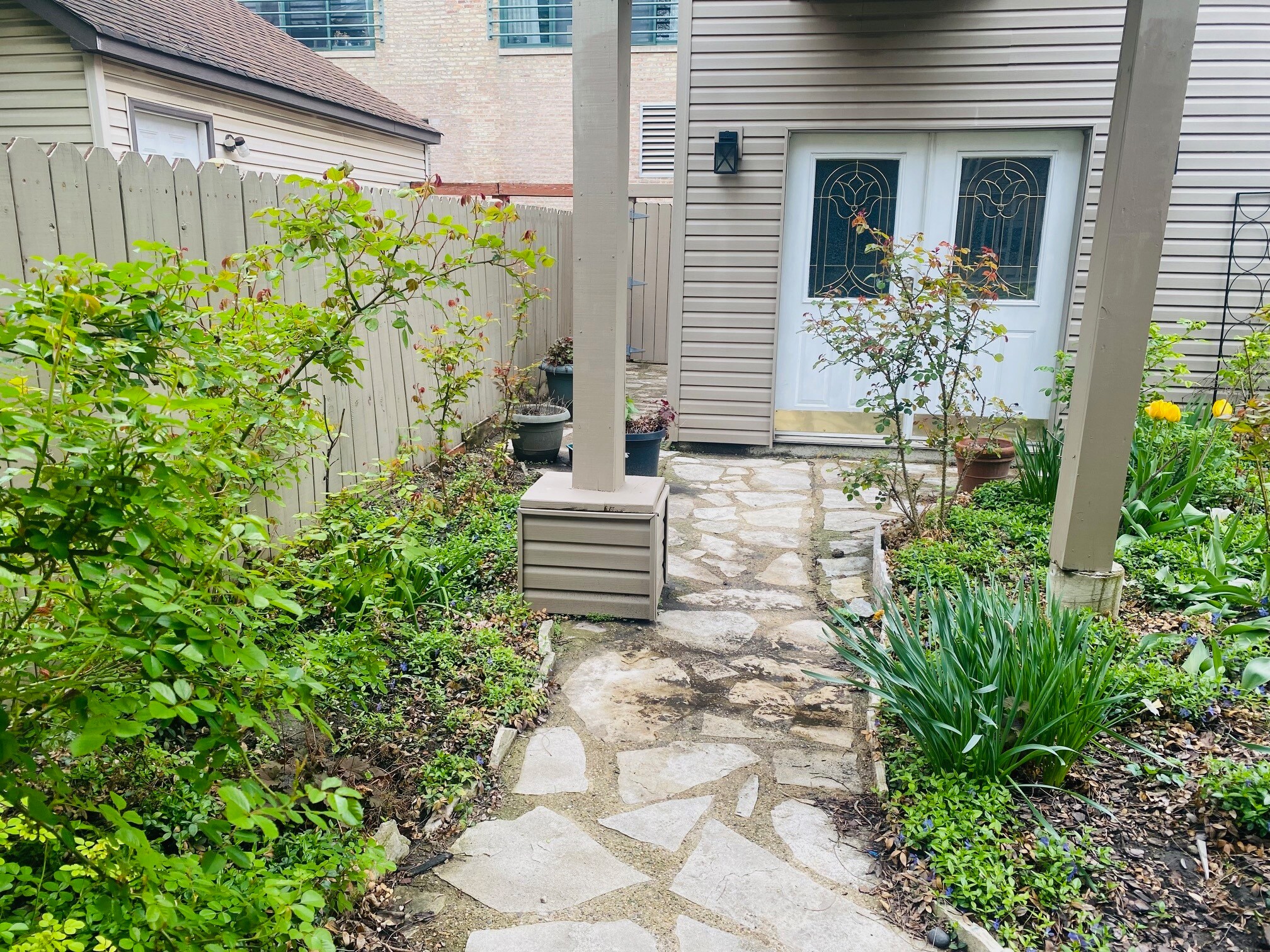 Rose garden in Backyard - 2014 W Fletcher St