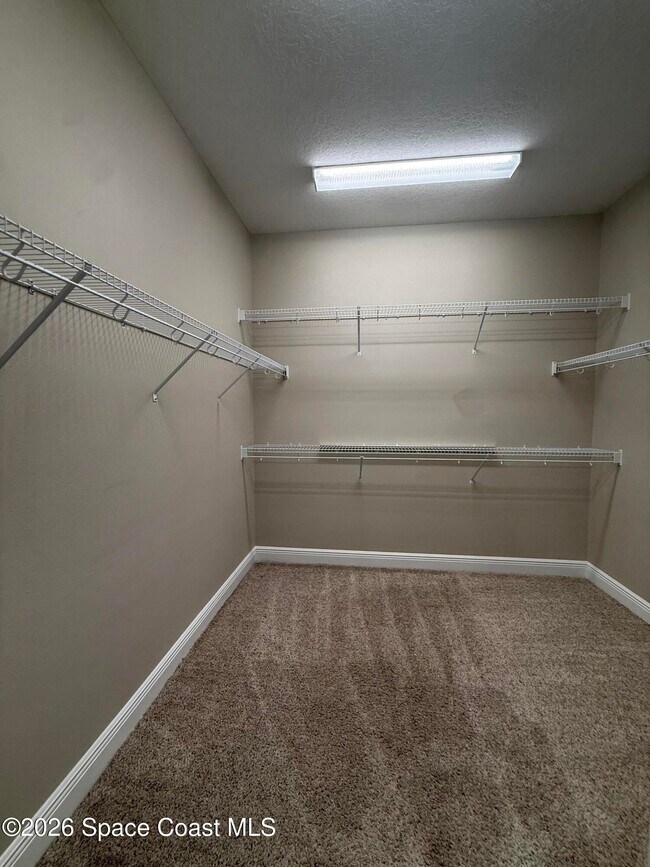 Building Photo - 7782 Paragrass Ave