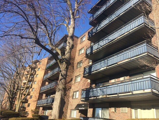 Building Photo - 24 Whites Ave