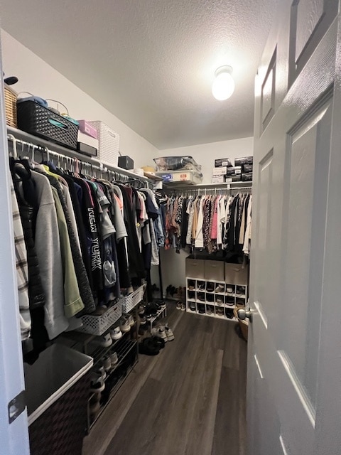 Primary walk-in closet - 2904 Emil Dr