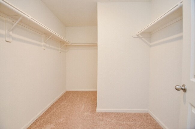 Building Photo - 1013 Banyon Tree Ln