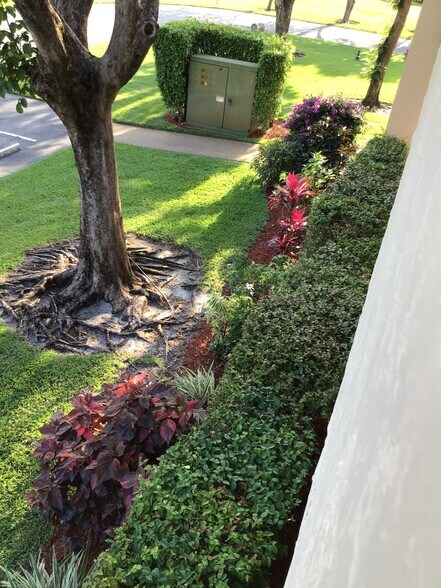 GREAT LANDSCAPING - 3212 Strawflower Way