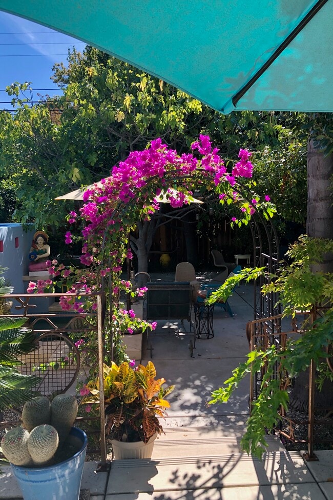 Building Photo - 1530 7th Ave