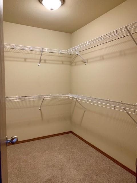 Building Photo - 4105 SW Chapelstone Ave