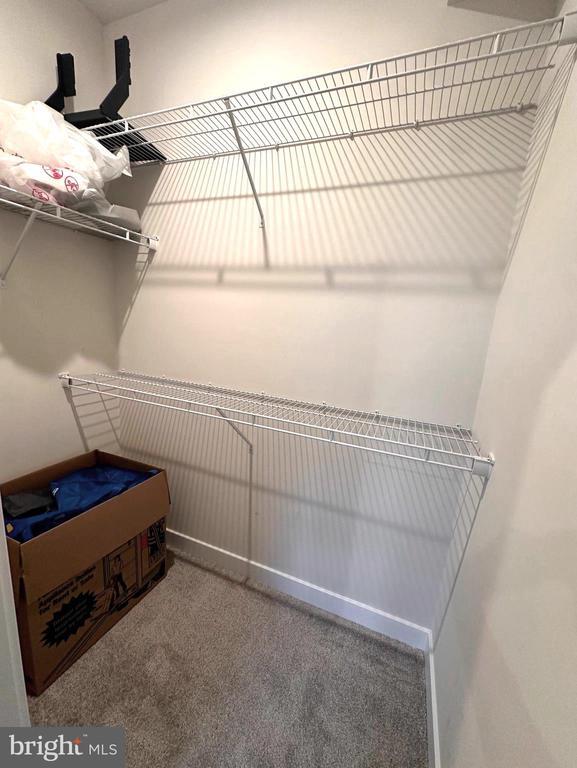 Building Photo - 19809 Habitat Ter