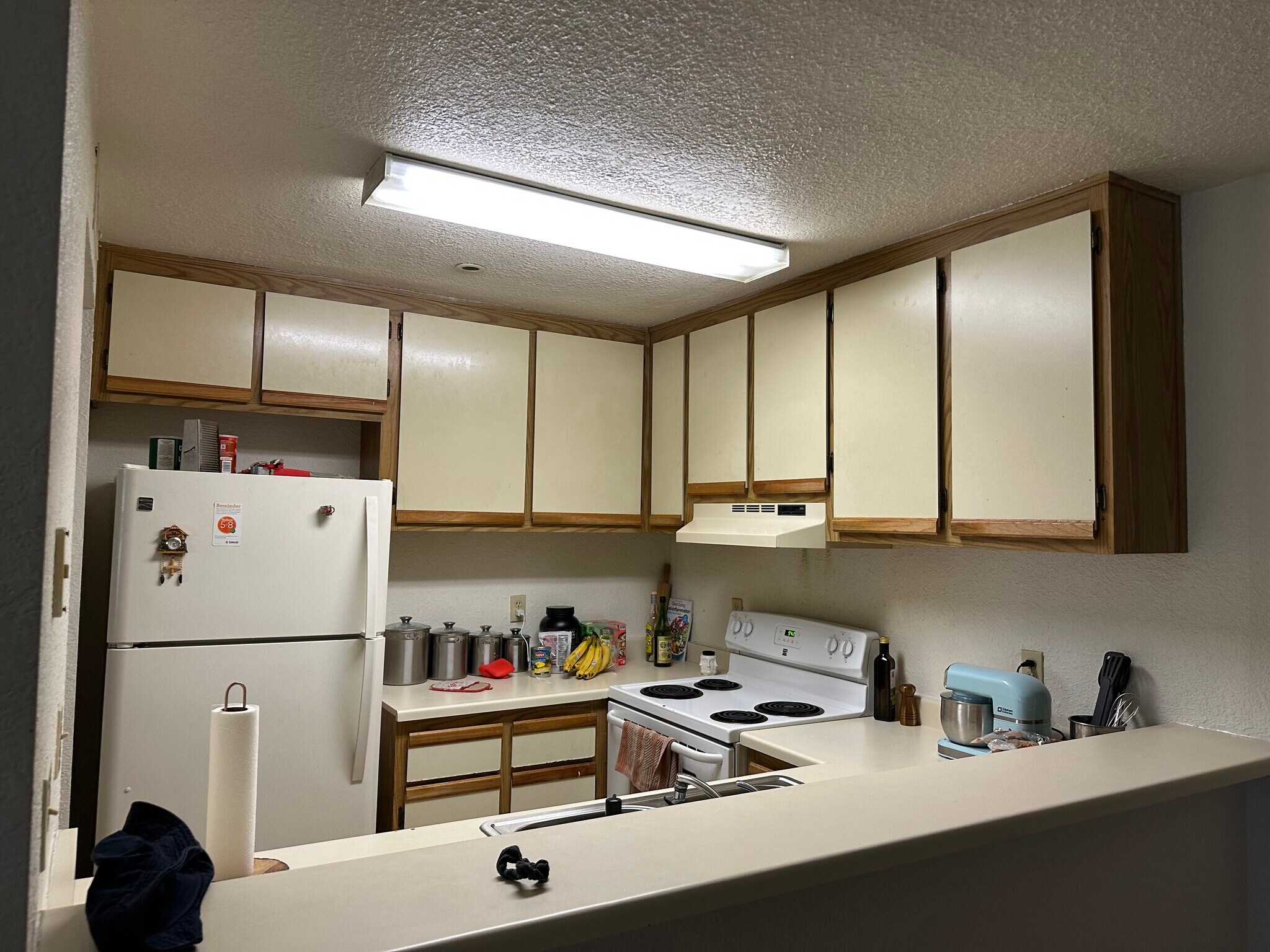 Building Photo - 1019 Dornajo Way