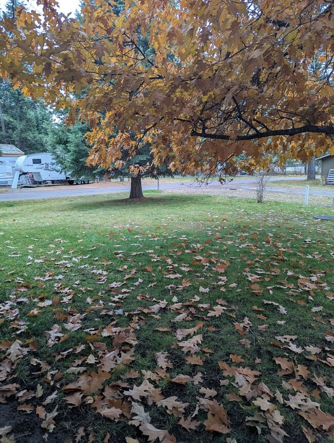 Building Photo - 1460 Marjorie St