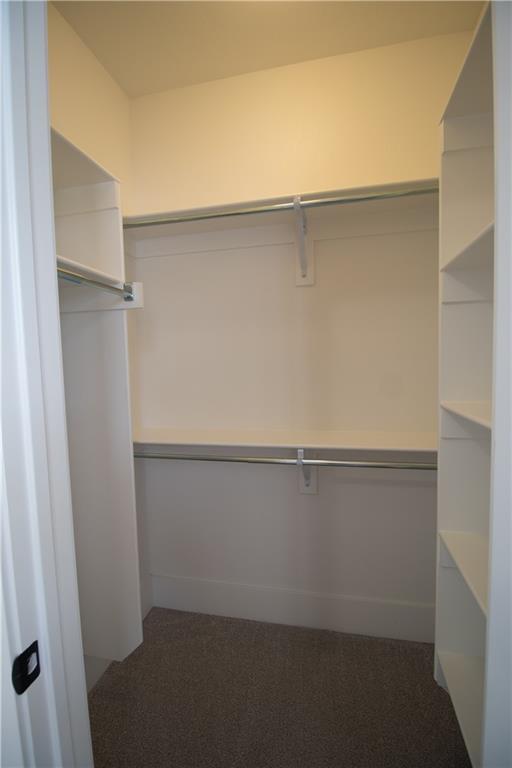 Building Photo - 1431 Cave Stream Dr