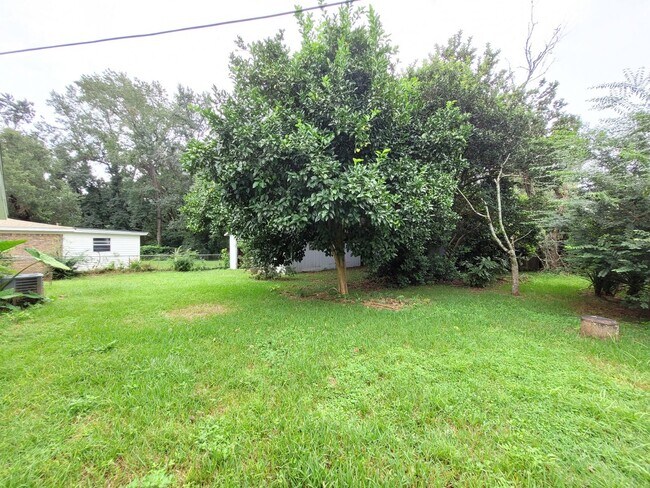 Building Photo - 700 Barksdale St