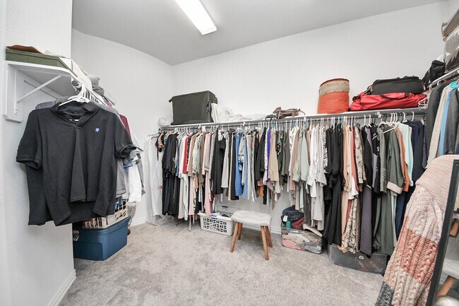 Building Photo - 3902 Cantone Grotto Ct