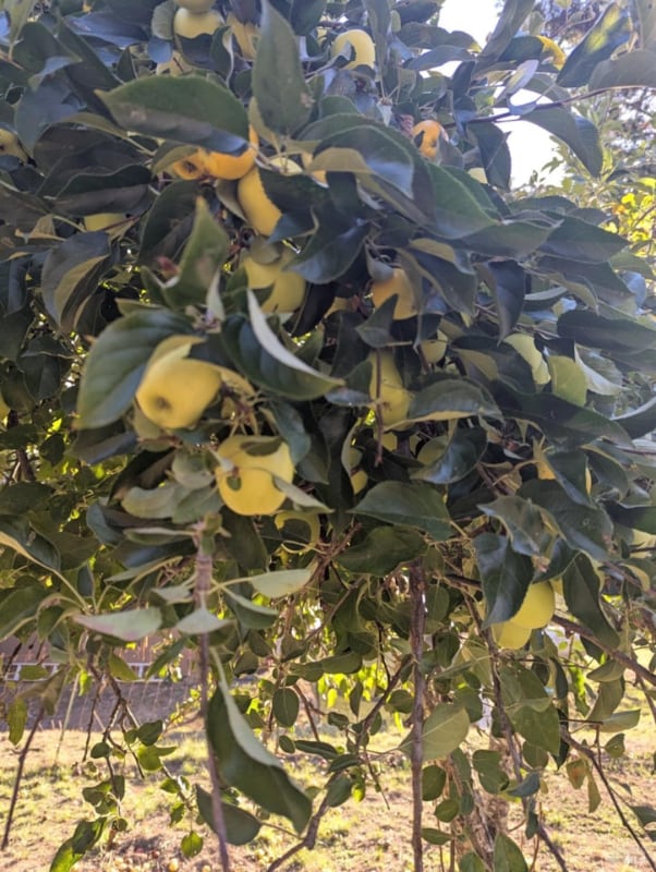 Building Photo - 25922 Tucker Ln