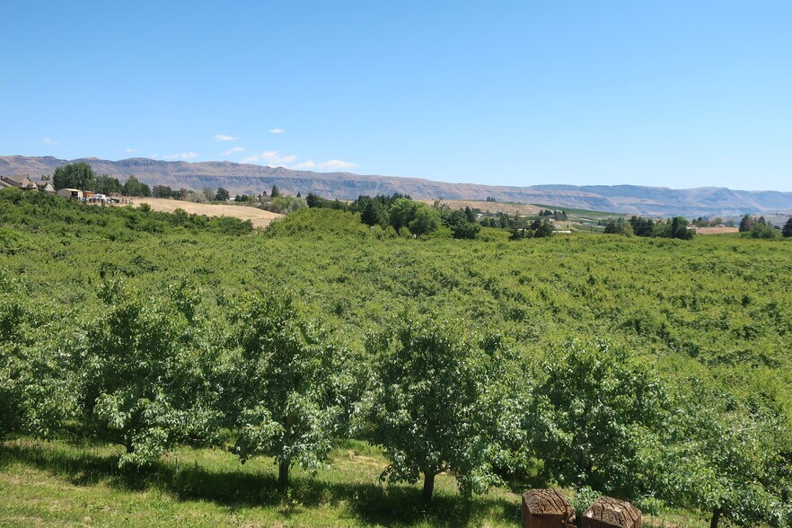 Building Photo - 3601 10th St SE