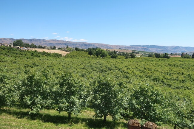 Building Photo - 3601 10th St SE