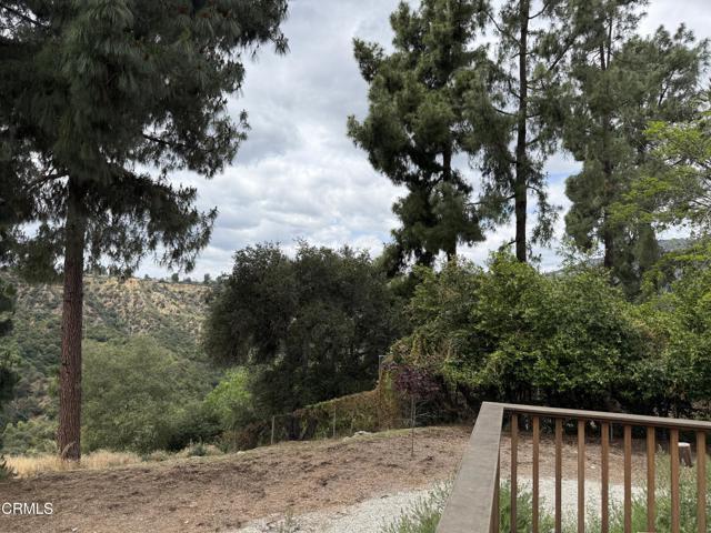 Building Photo - 4119 Aralia Rd
