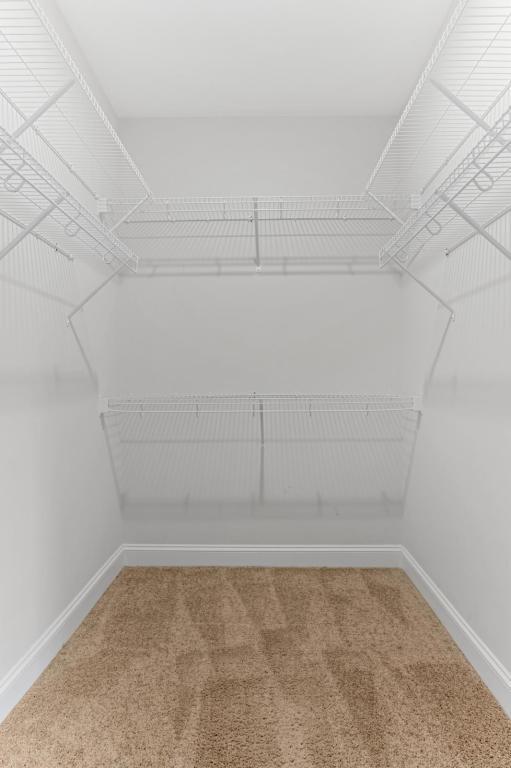 Building Photo - 2319 Davenport Ct