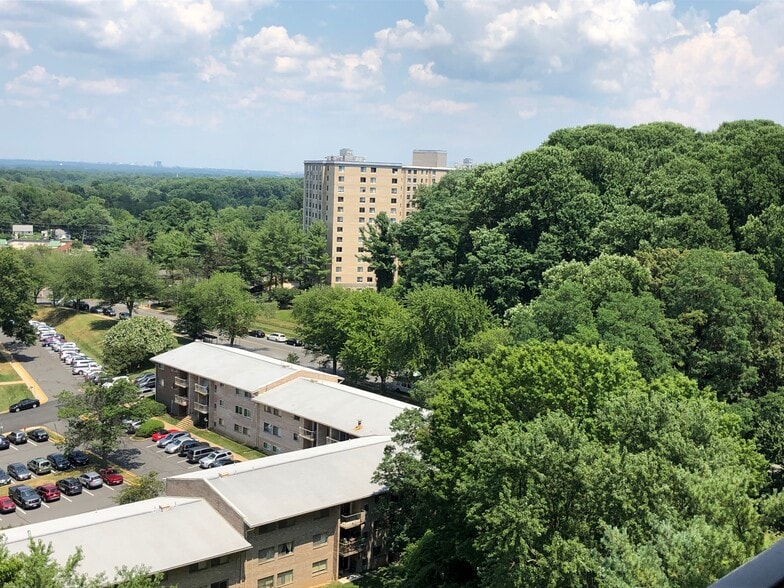 View to east - 2300 Pimmit Dr