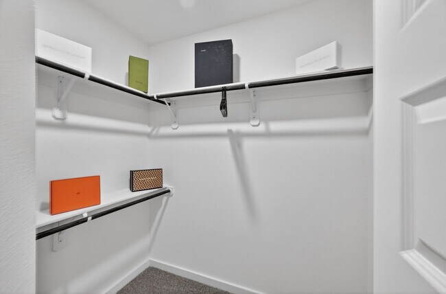 Building Photo - 2908 El Fenice Ln