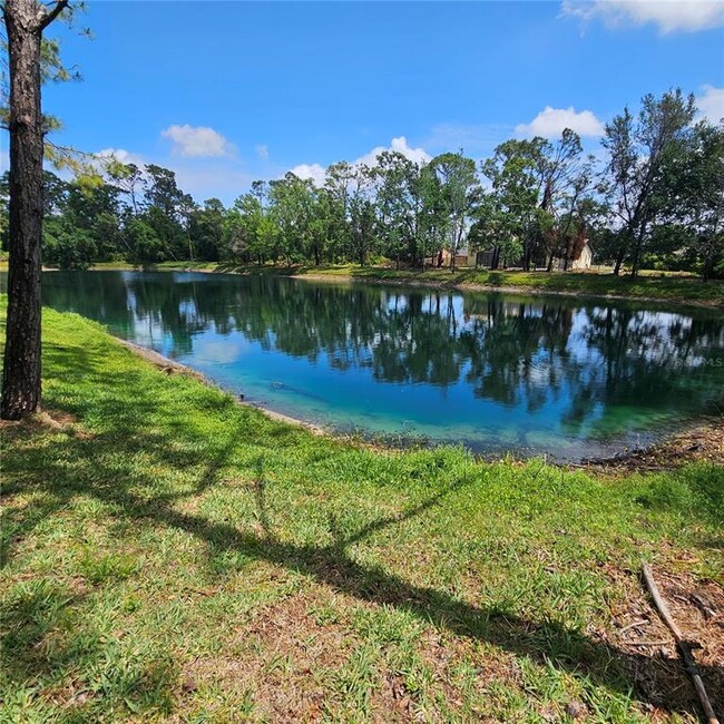 Building Photo - 8110 Villa Grande Ct