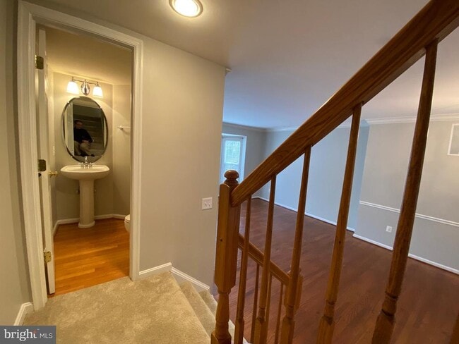 Building Photo - 4929 Chaste Tree Pl