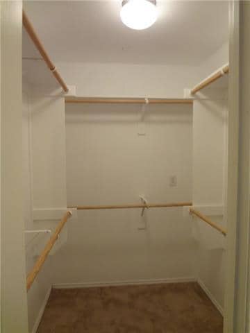 Building Photo - 904 Mazatlan Ct