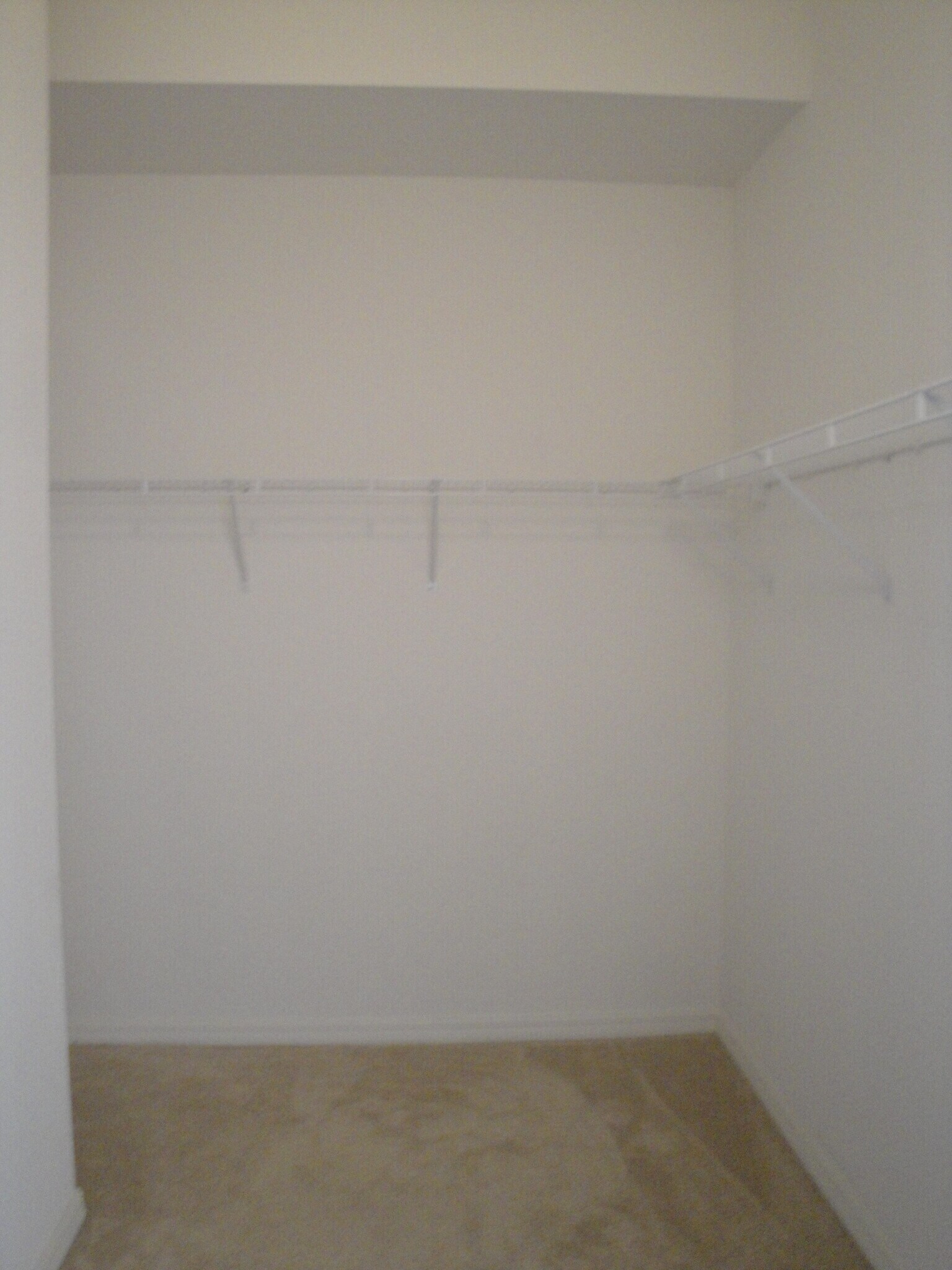 one of 3 walk in closets - 9800 Quinta Artesa Way