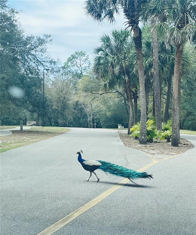 Building Photo - 233 Crown Oaks Way