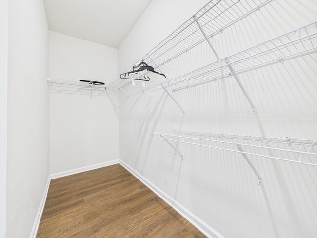 Building Photo - 5819 Soft Shell Dr