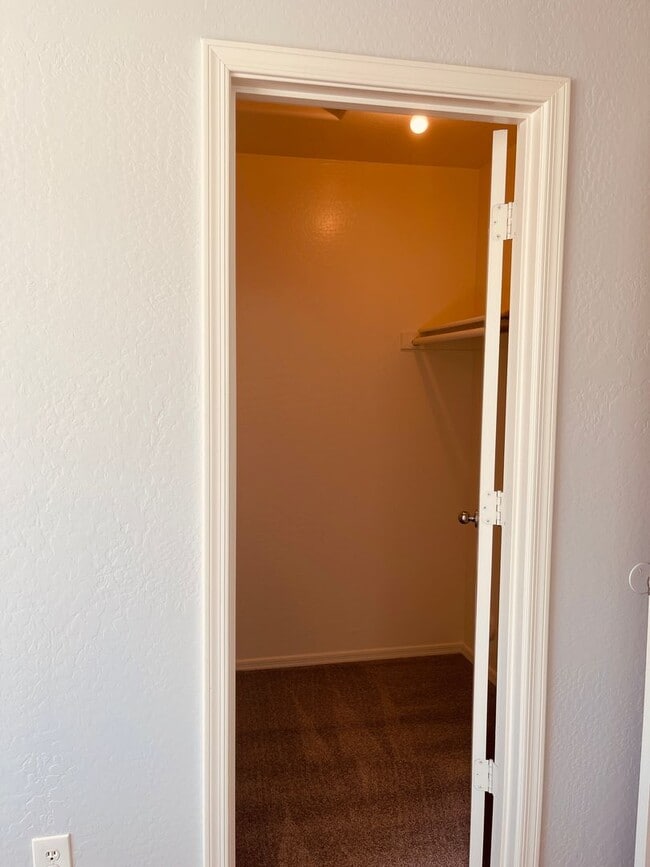 Building Photo - COMING SOON! Beautiful 3 Bed 2 Bath Home in Buckeye