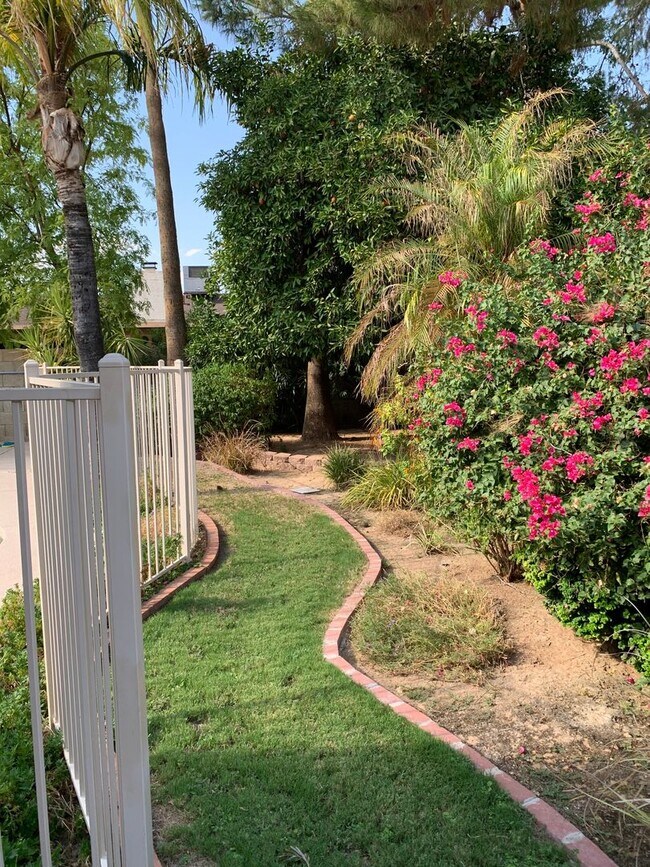 Building Photo - COMING SOON! Spacious 3 Bed 2 Bath Home w/ Private Pool!