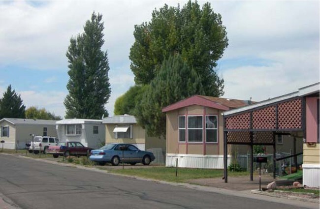Primary Photo - The Meadows